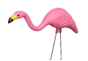 Pink Flamingo